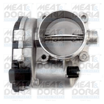 Throttle Body